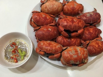 Ăn gì khi du lịch Cô Tô? Top Món Ngon Nhất Định Phải Thử!