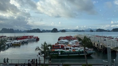 Đi Cô Tô Từ Cảng Nào? Hướng Dẫn Đi Tàu Cao Tốc Cô Tô Chi Tiết