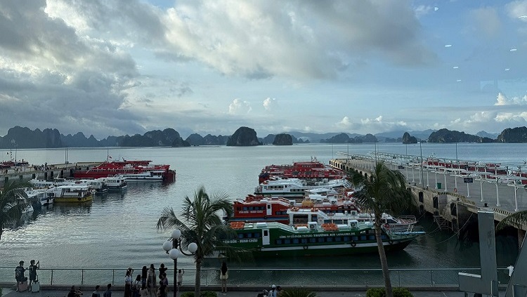 Đi Cô Tô Từ Cảng Nào? Hướng Dẫn Đi Tàu Cao Tốc Cô Tô Chi Tiết